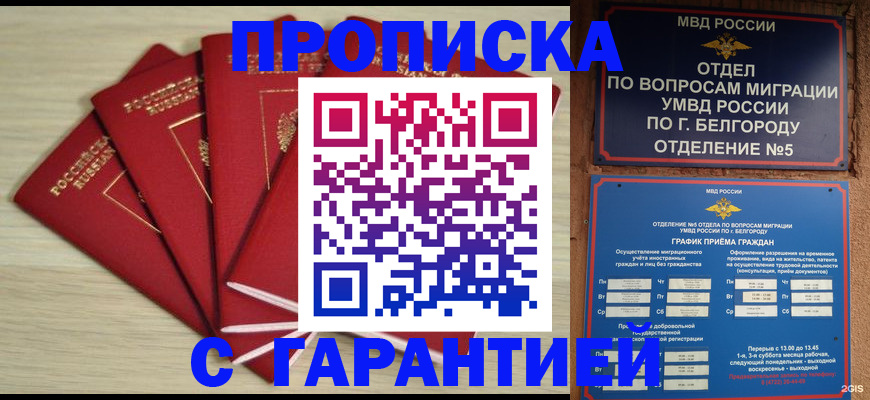 миграционный учет в Невеле